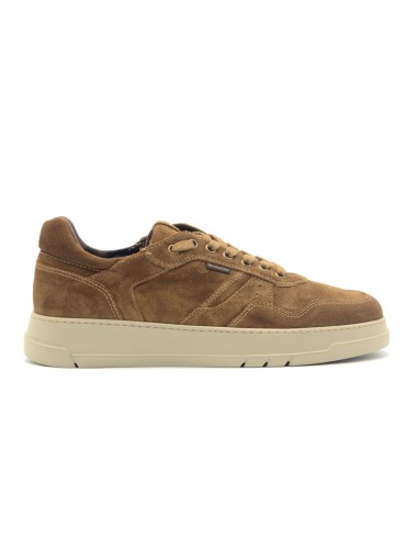 Nero Giardini Box-Bottom-Sneaker