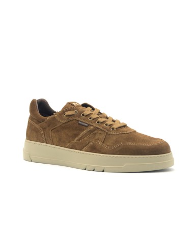 Nero Giardini Box-Bottom-Sneaker
