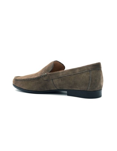 Stonefly Summer II 1 mocassin
