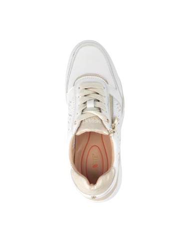 Serenissima Zip lace-up sneaker model for women